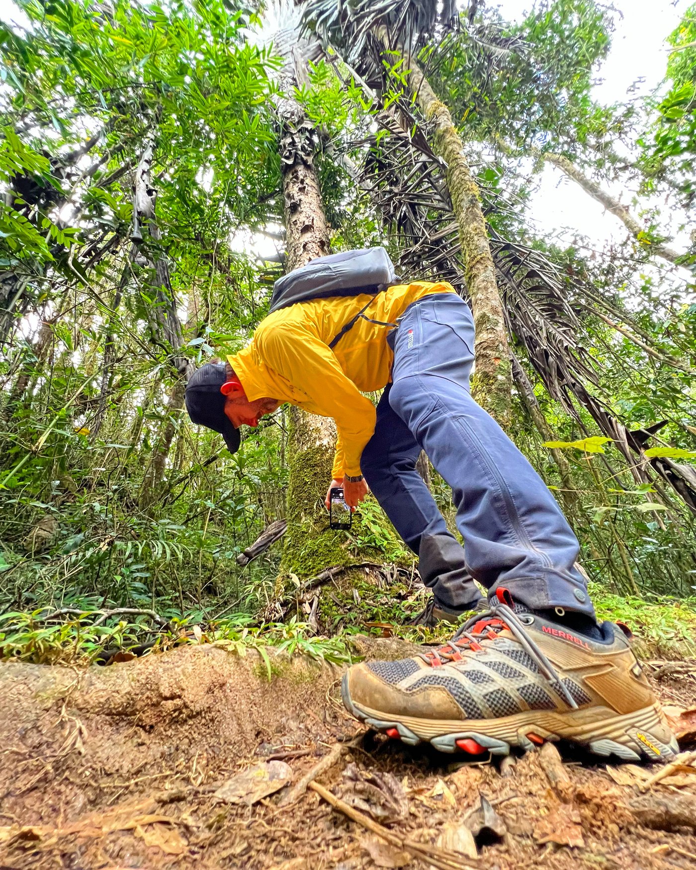 On the trail, photographing the forest