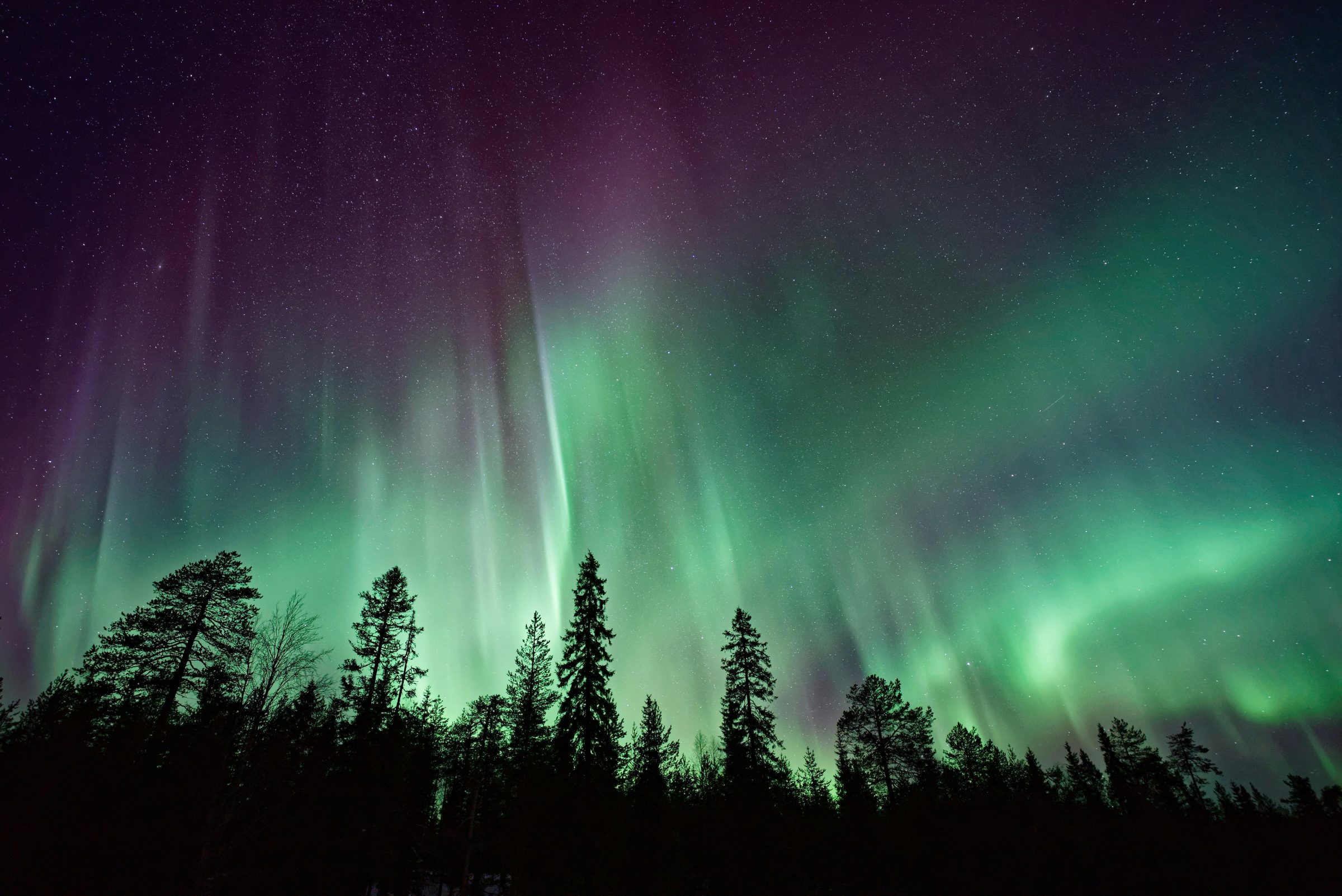Aurora over a dark landscape