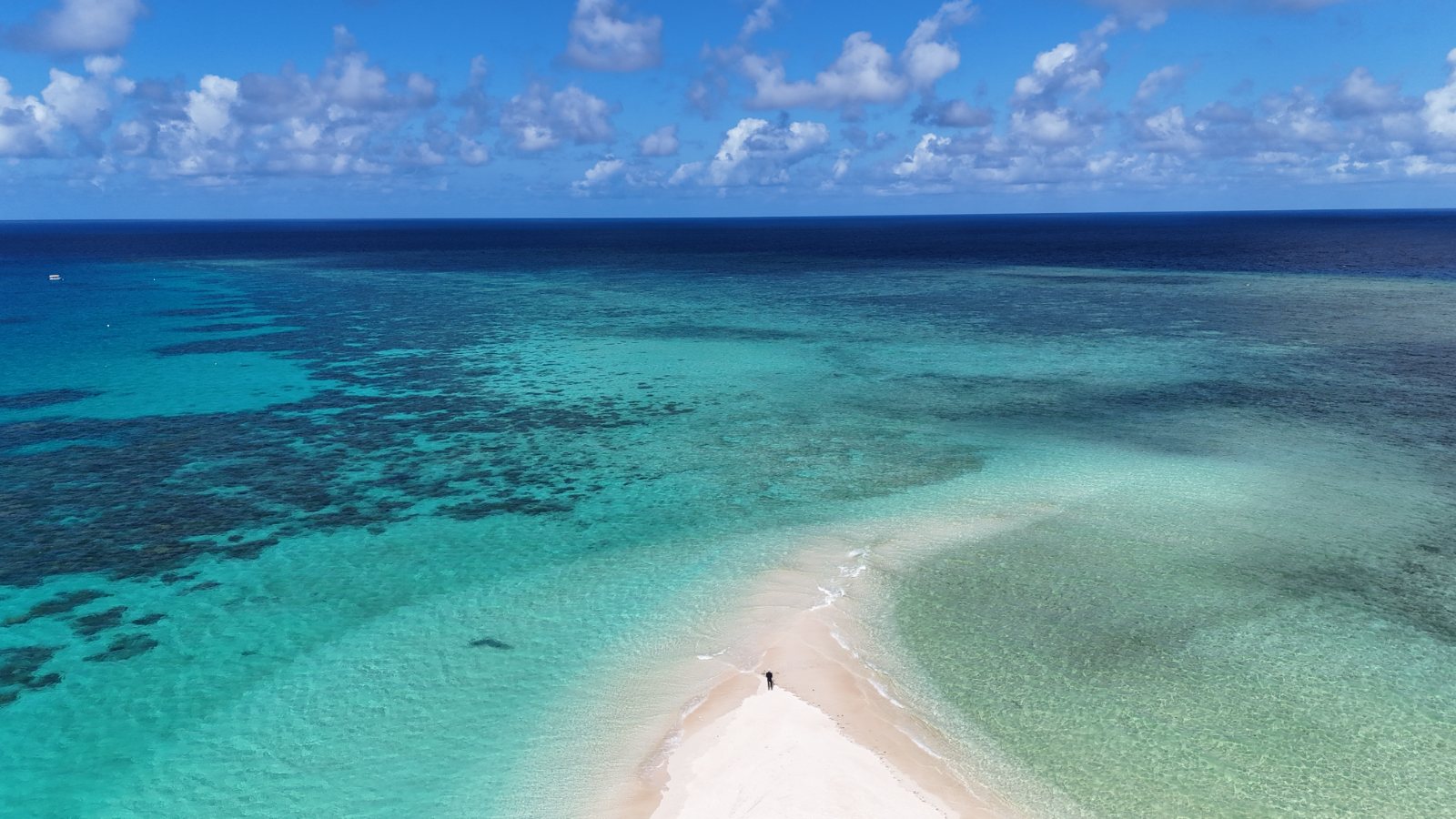 Alone on the sandbar