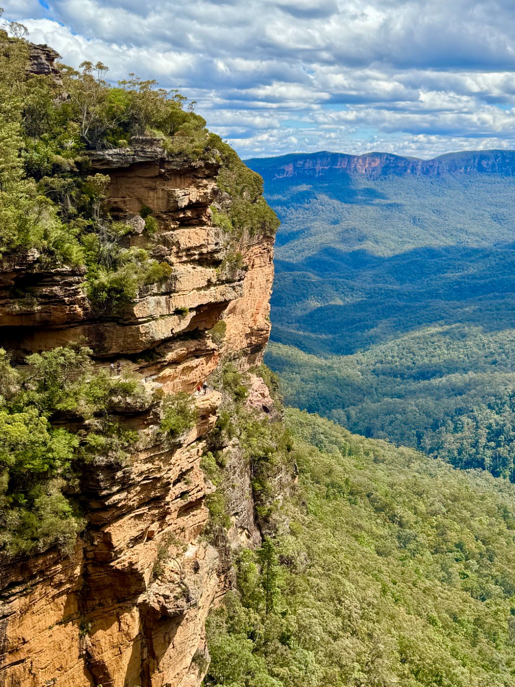 Cliffs above the Jamison Valley
