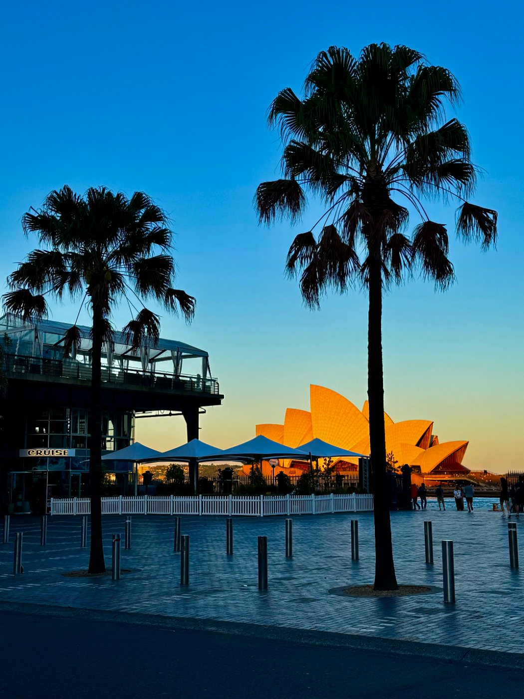 The Opera House and Harbour Bridge
