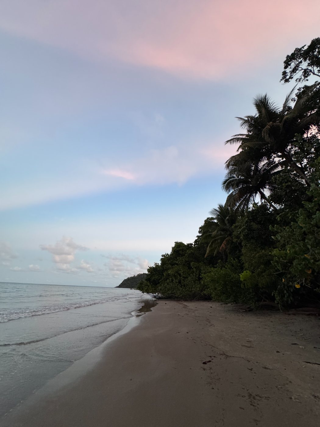 Pink dusk over Cape Tribulation beach