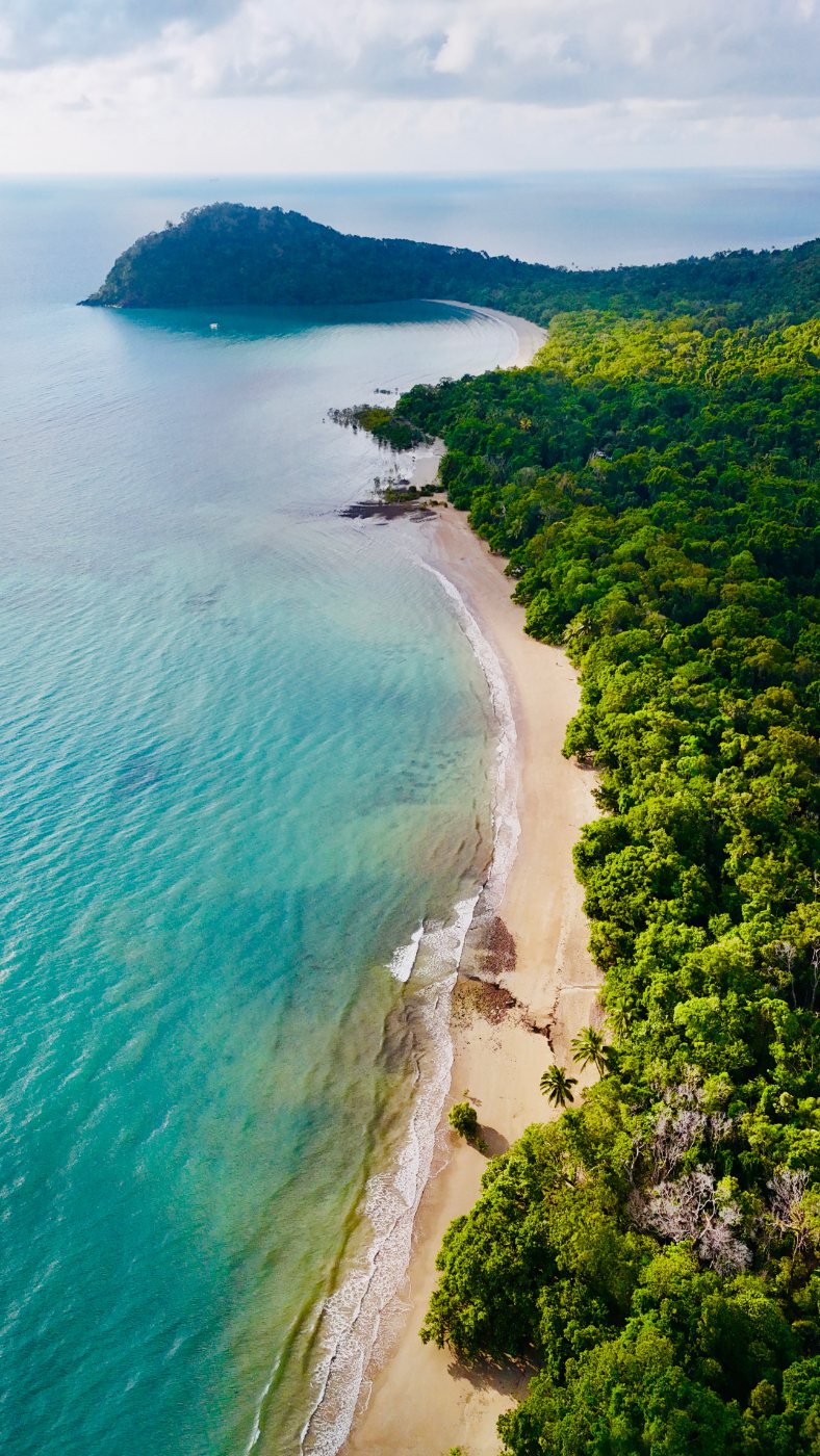 Where the rainforest meets the reef