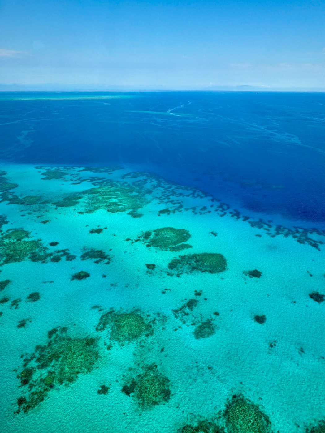 The reef edge dropping to deep blue