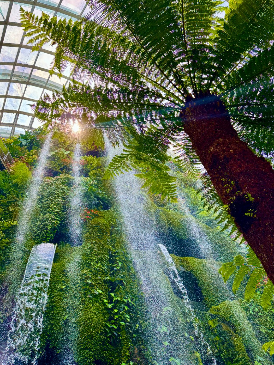 The Cloud Forest waterfall