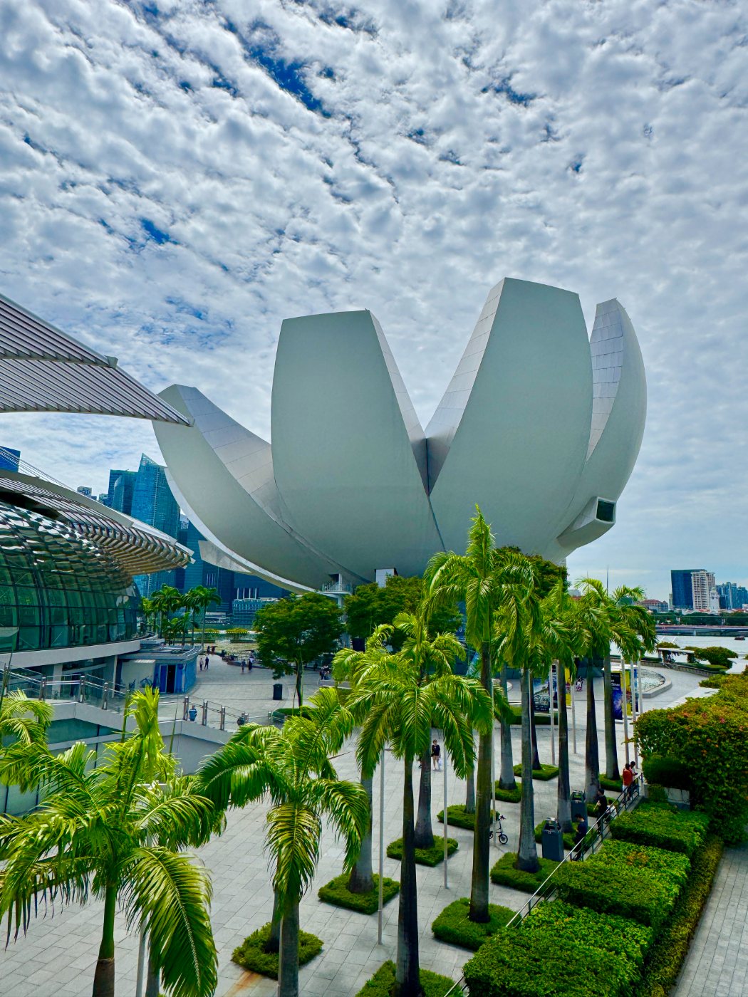 ArtScience Museum