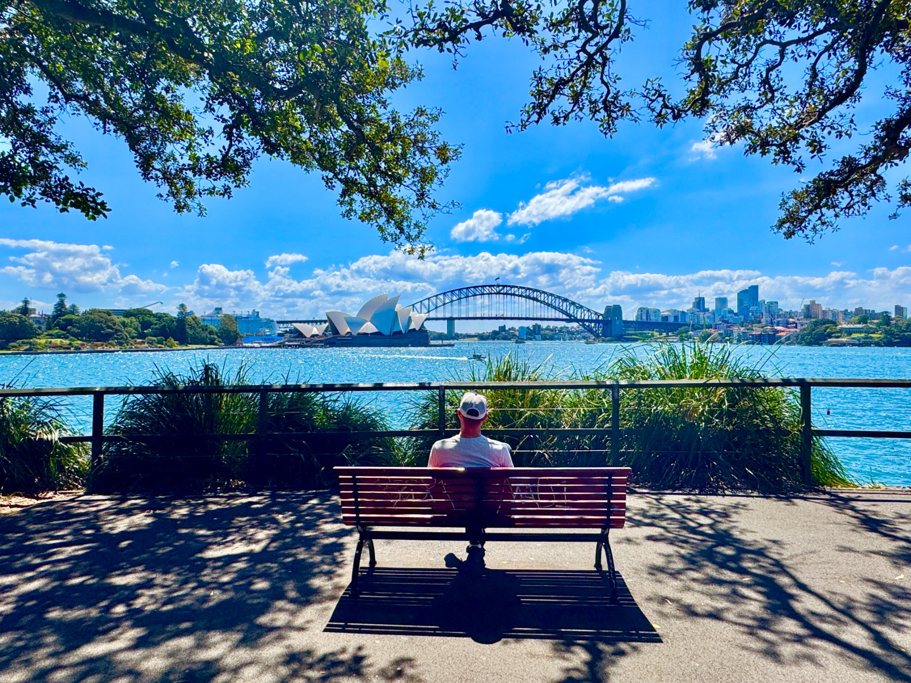 Sydney Harbour Bridge and the Opera House