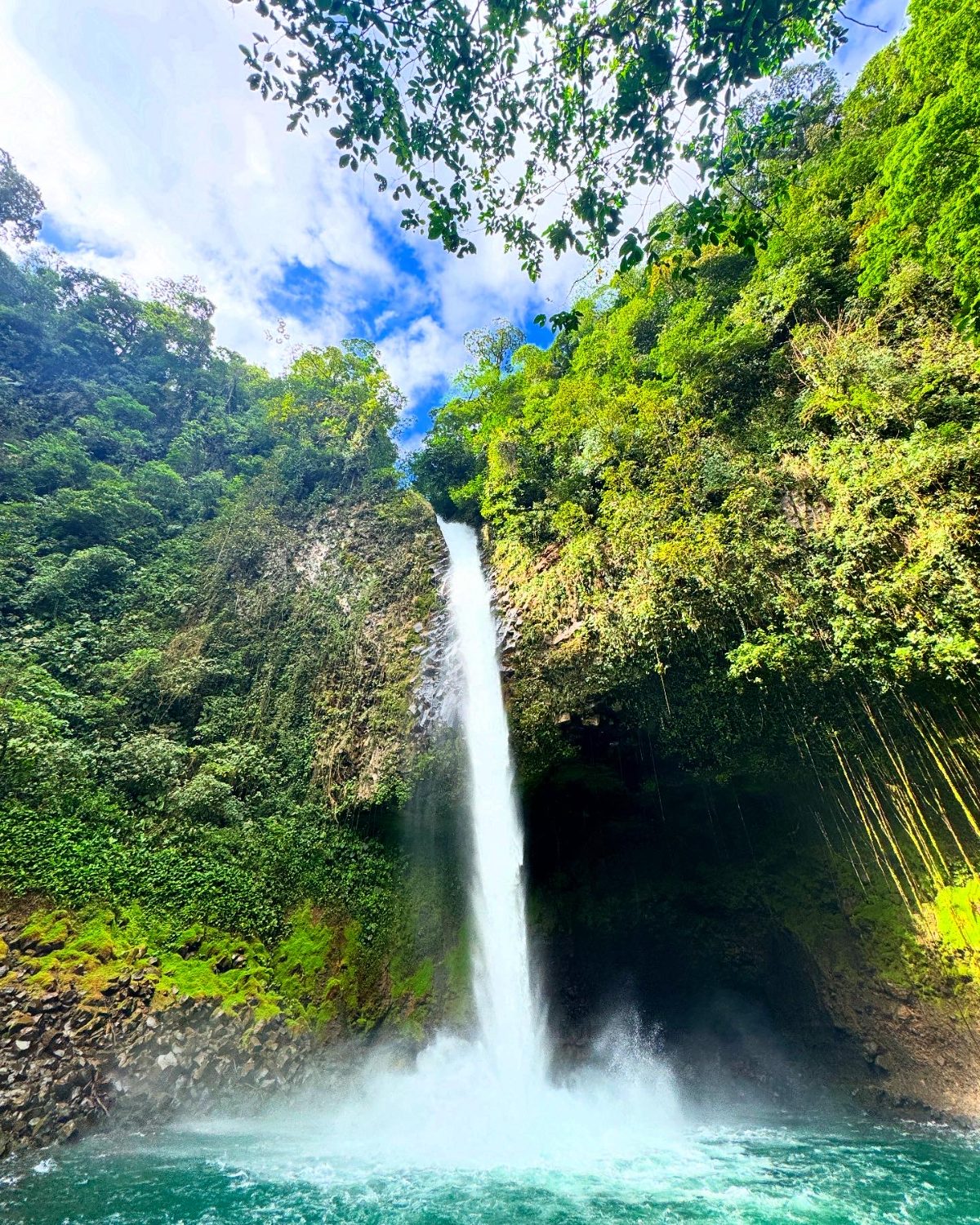 Canyoning in the rainforest