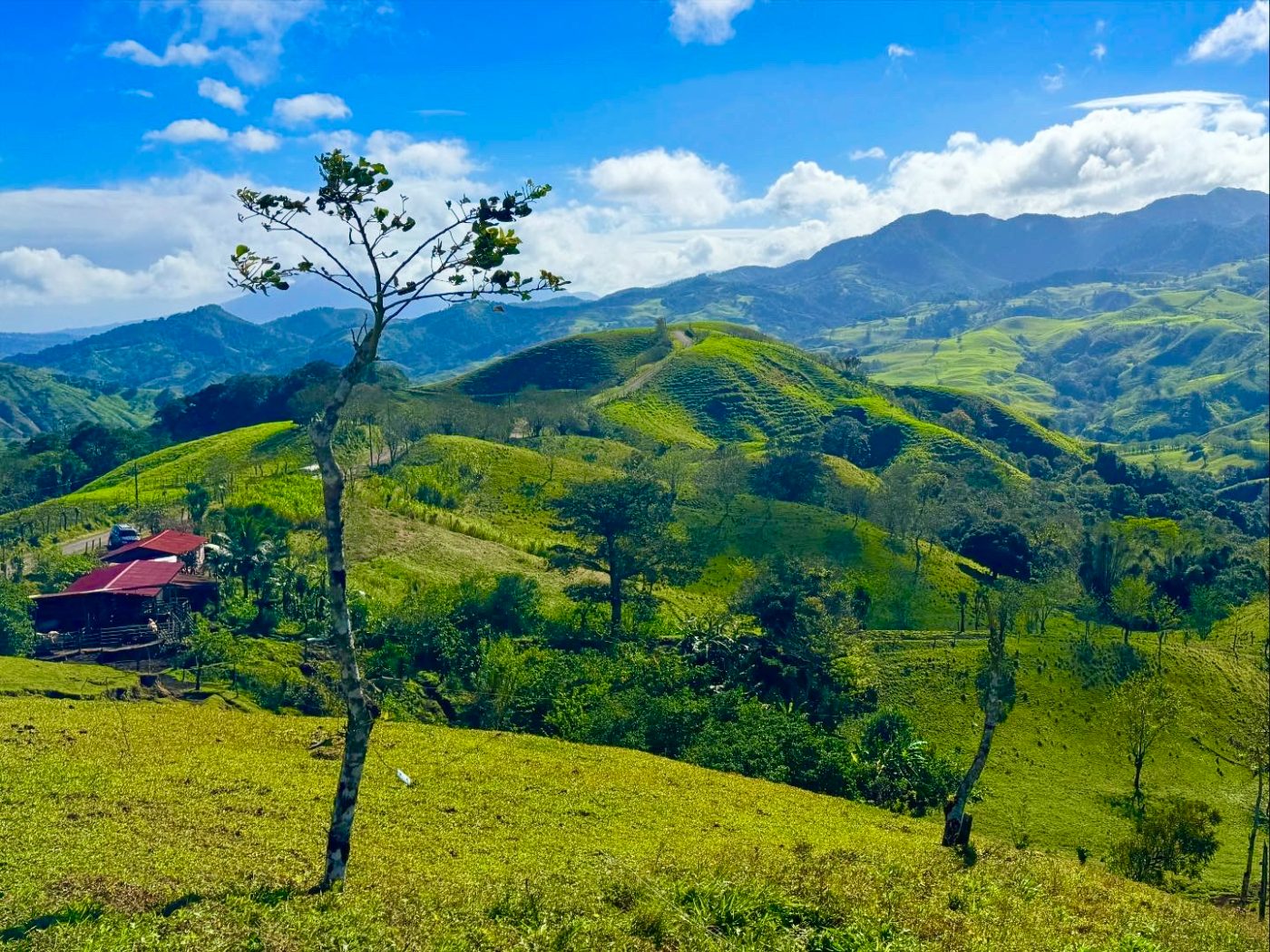 Green hills of Monteverde