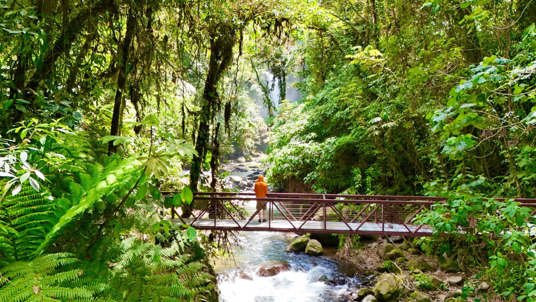 Footbridge over the river, La Paz