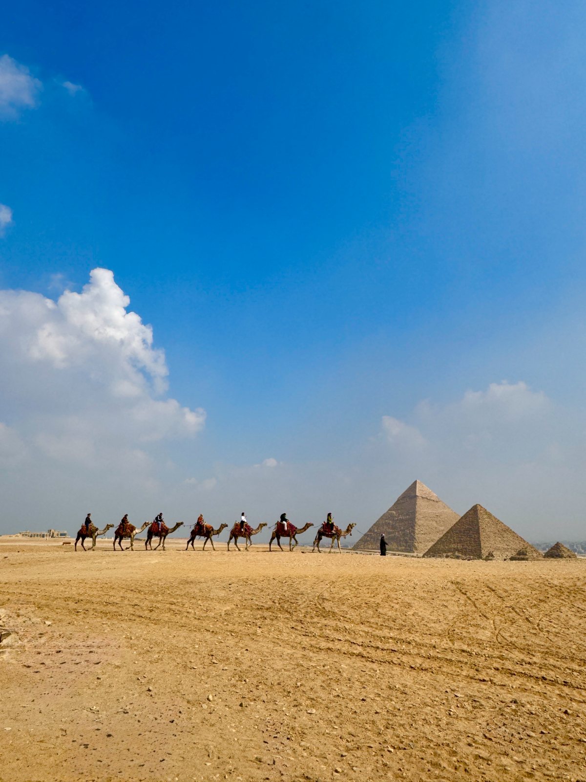 Camel caravan crossing the desert at Giza