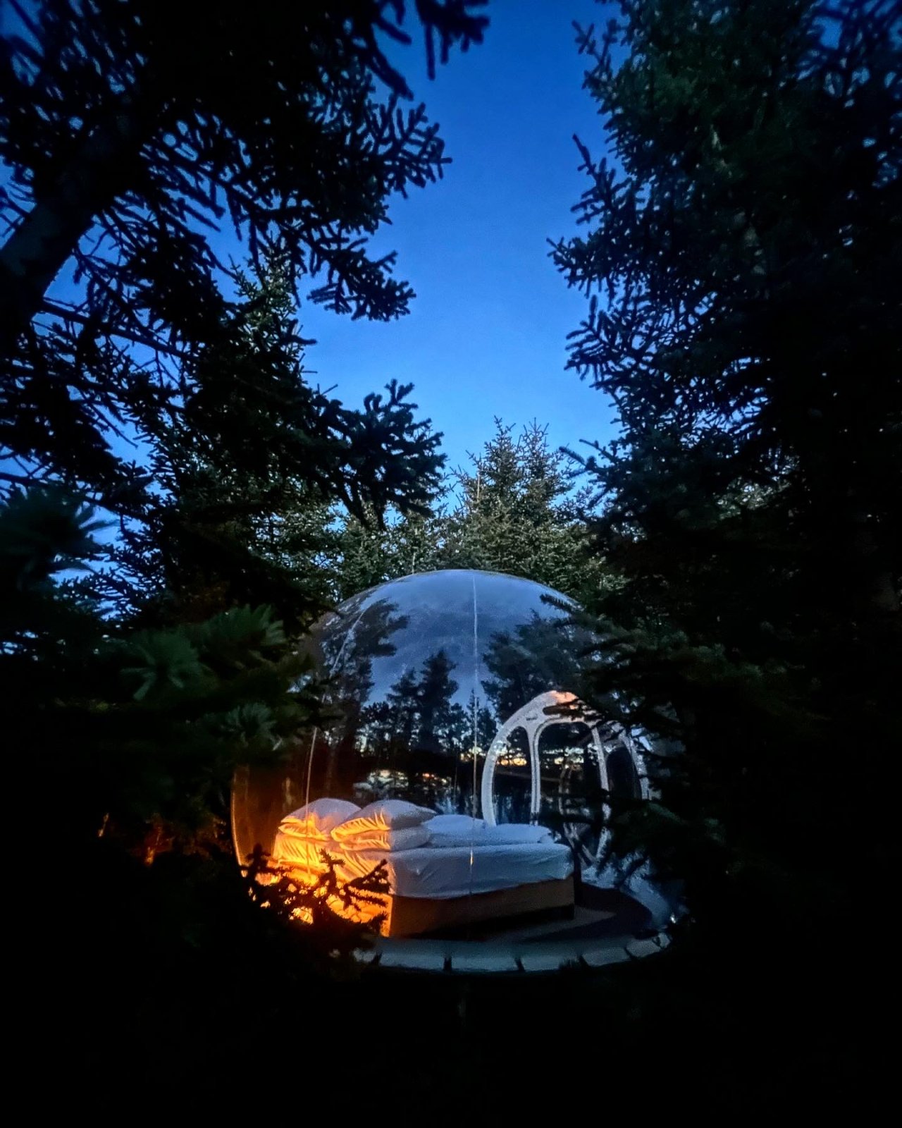 The Bubble Hotel under the Northern Lights