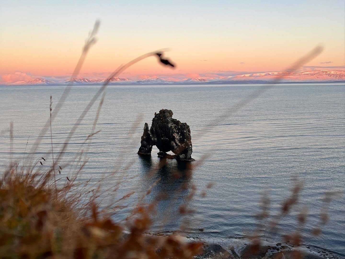 West Coast landscape