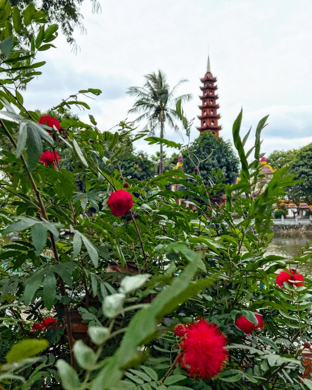 Silk lantern market