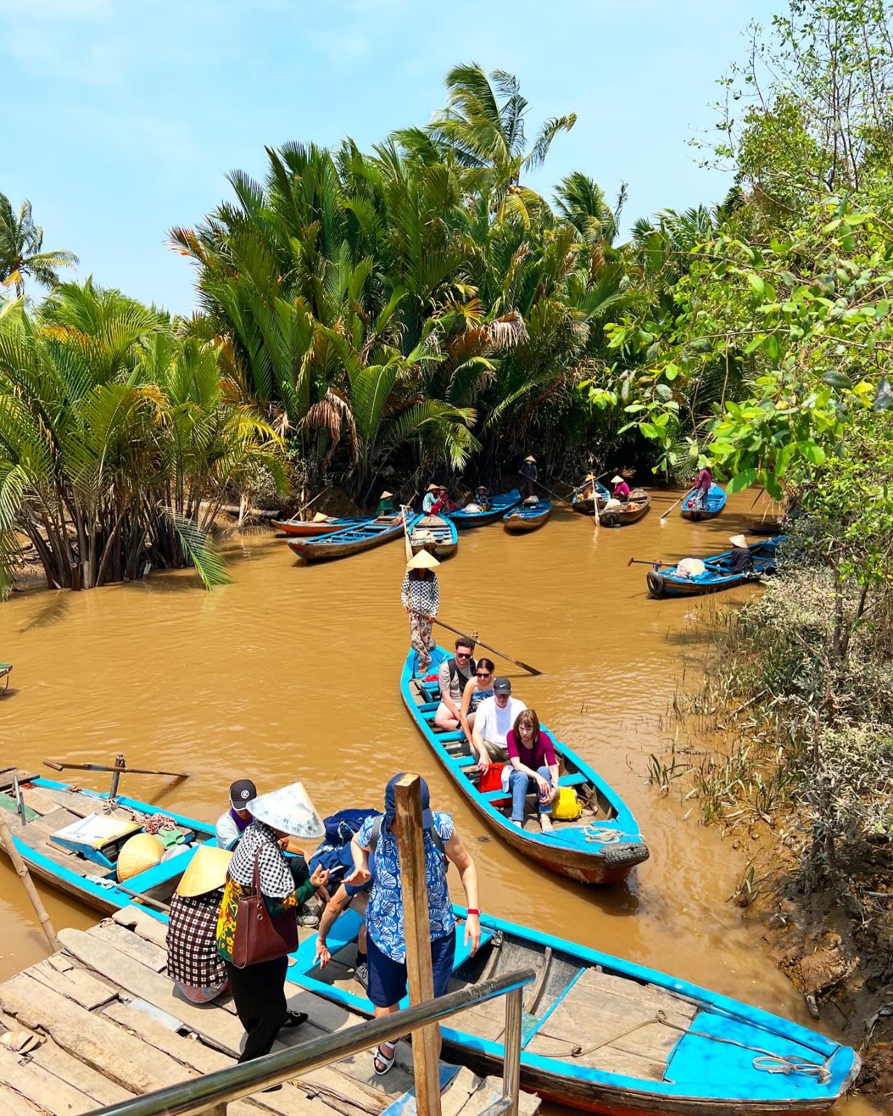 Cu Chi Tunnels forest