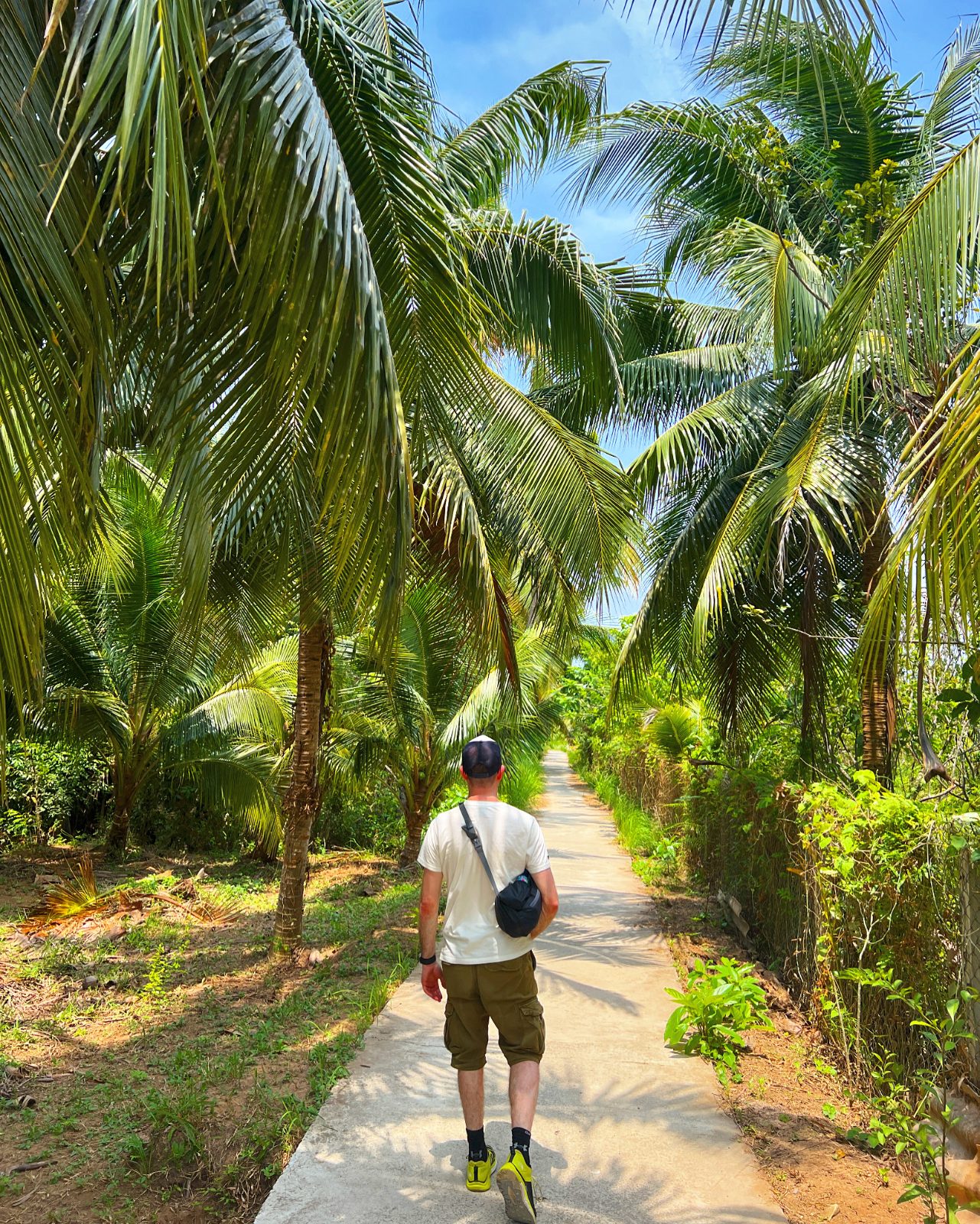 Palm-lined path, Mekong Delta