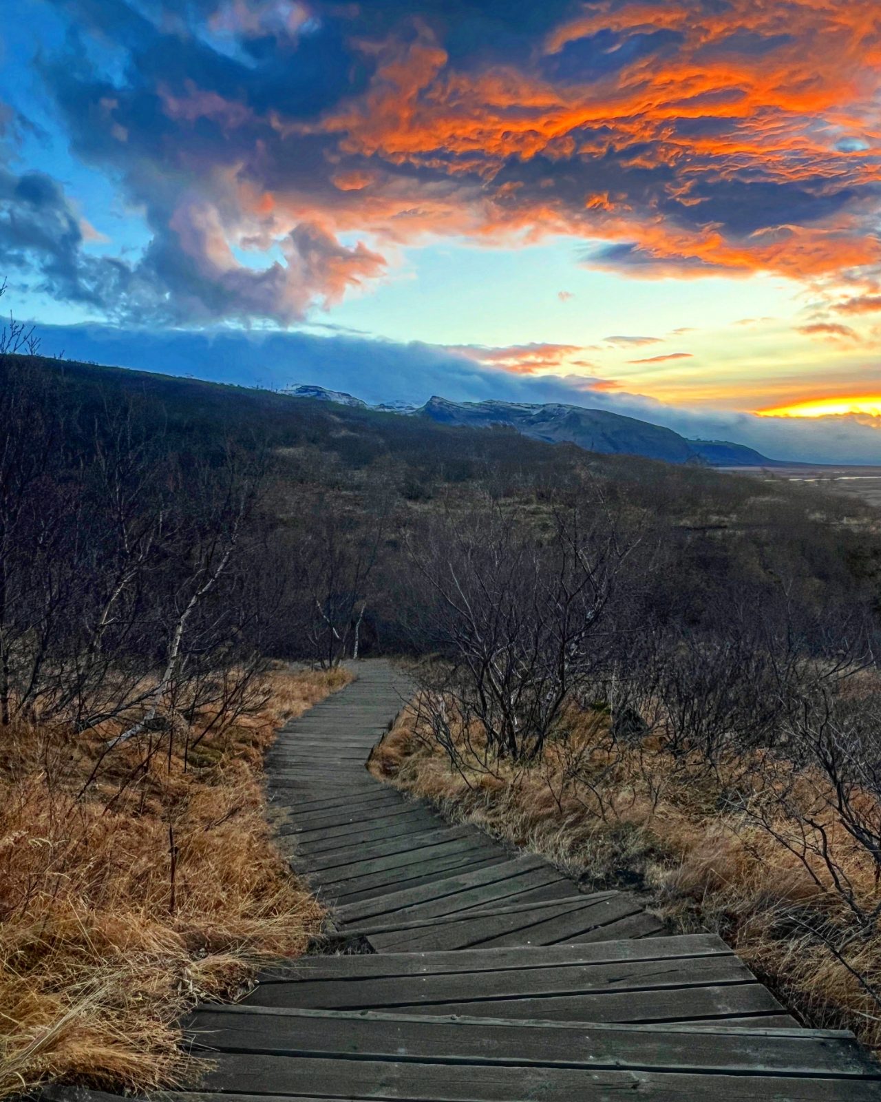 Sunset boardwalk