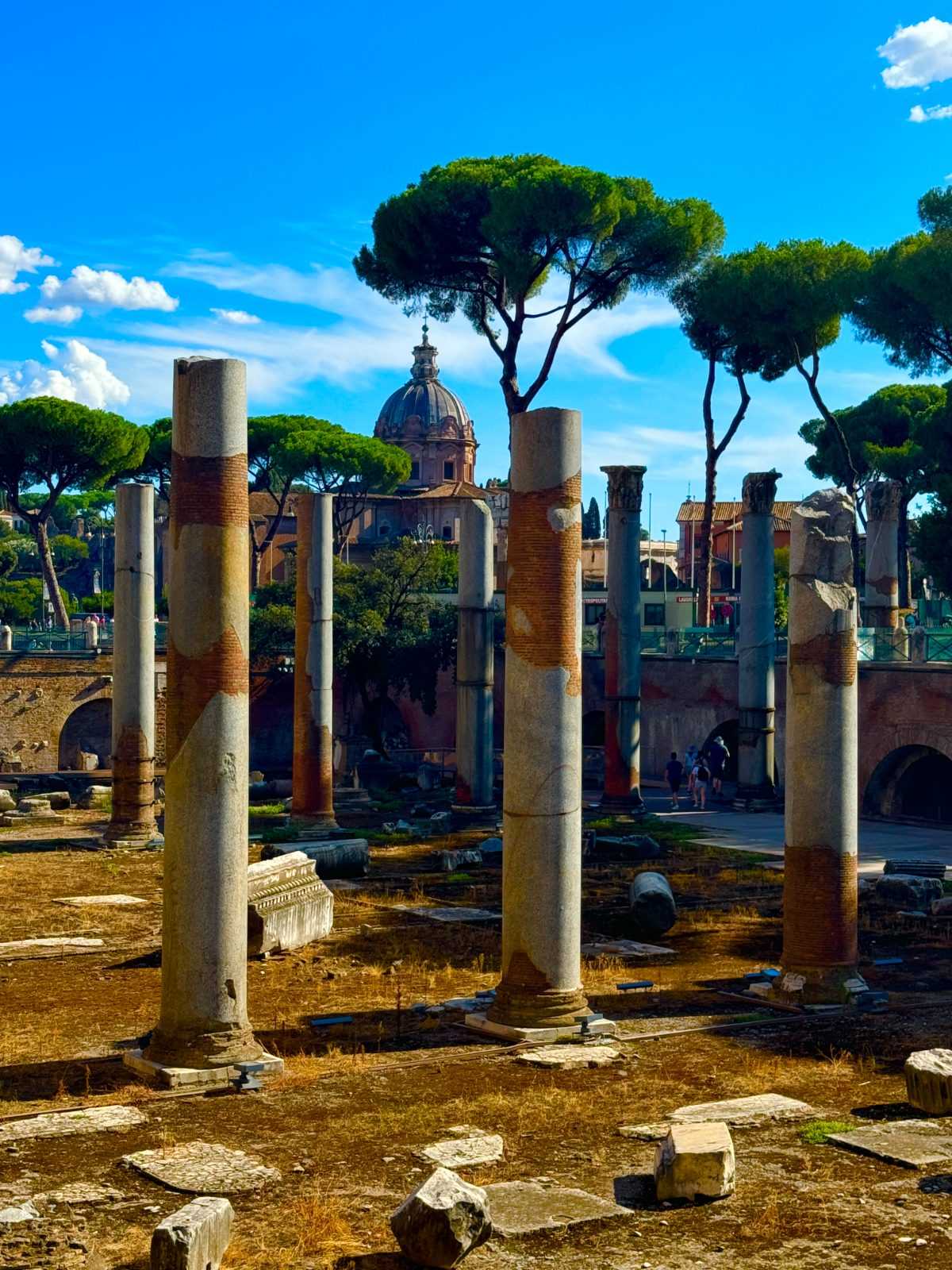 Columns of the Roman Forum