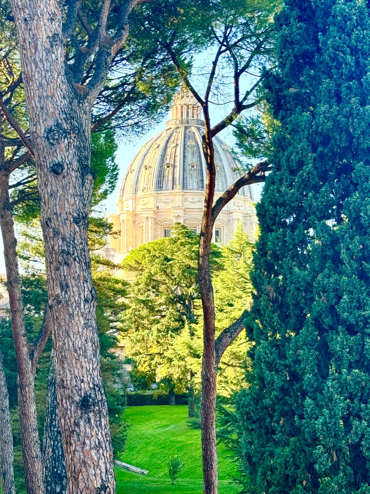 The dome through the Vatican gardens