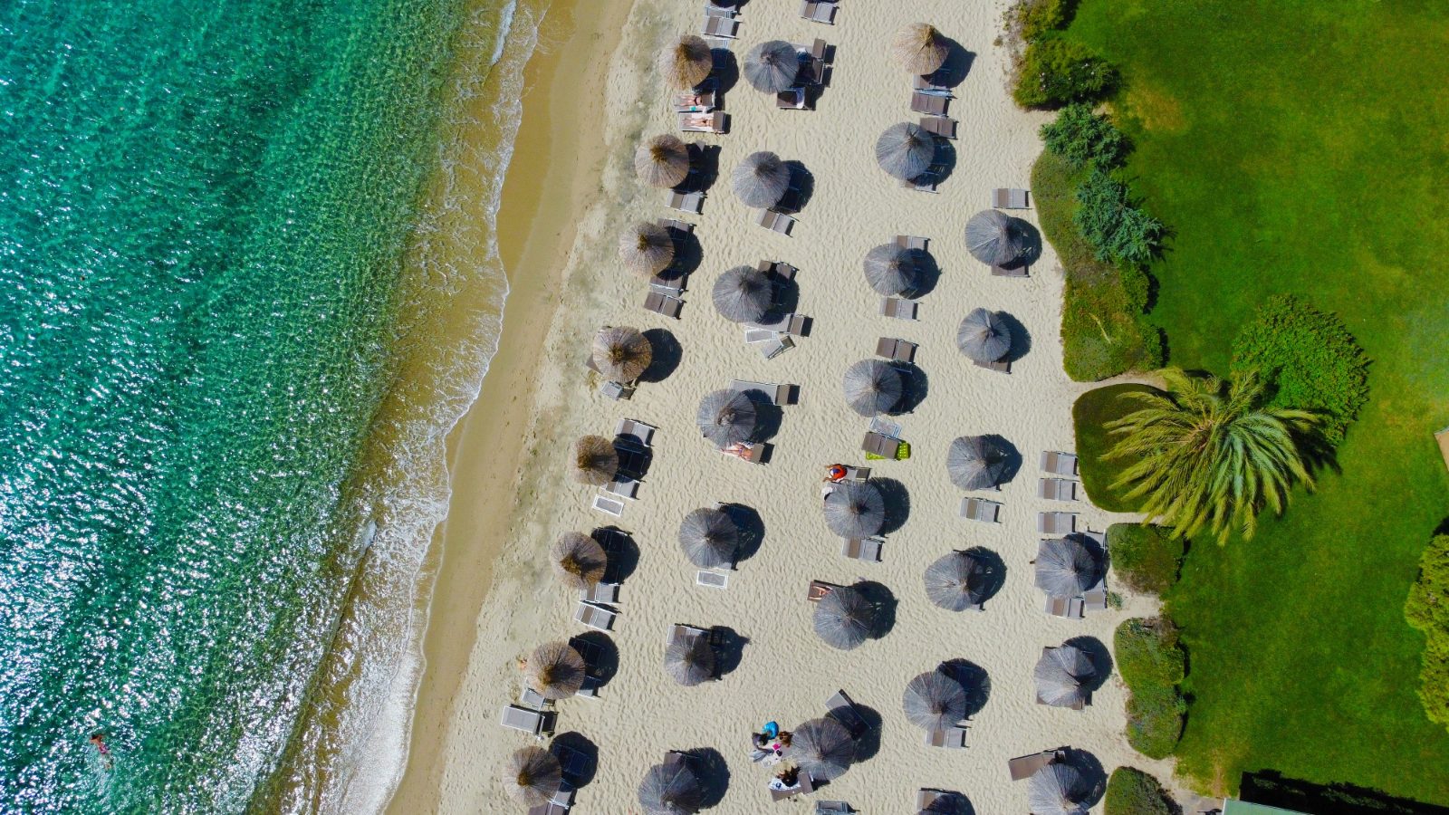 Parasols on white sand