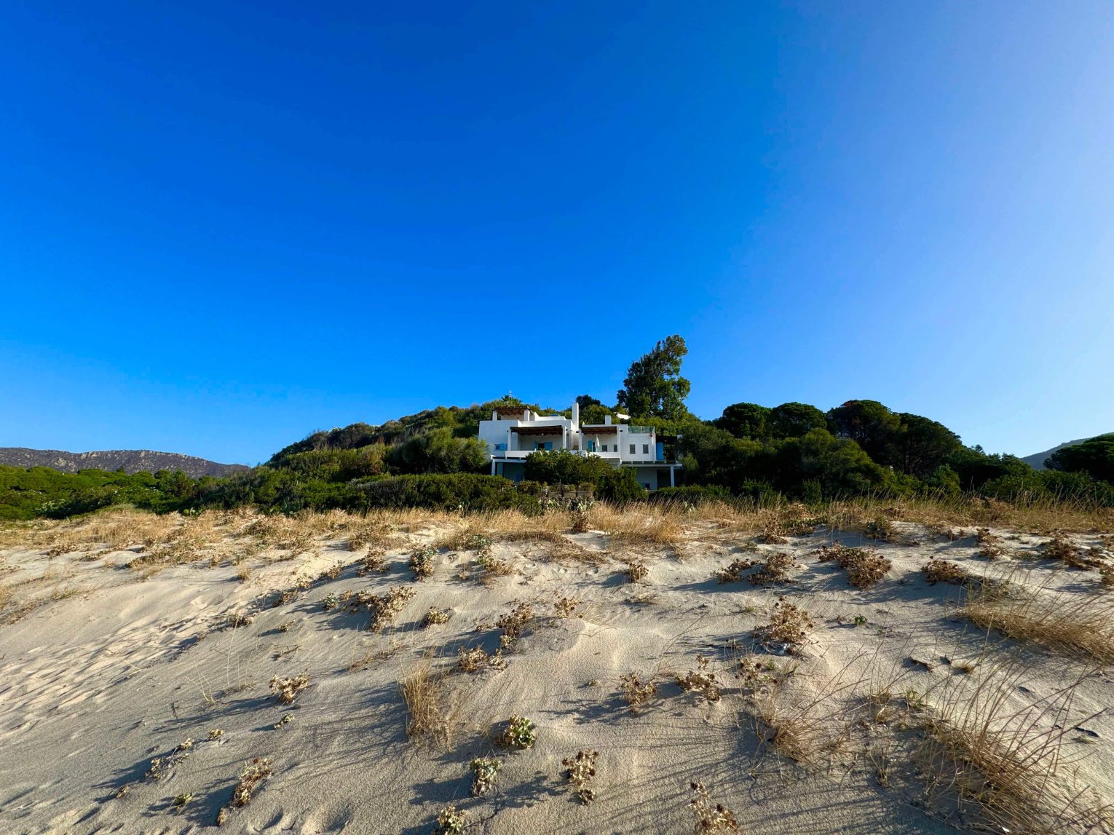 The Beach House above the dunes