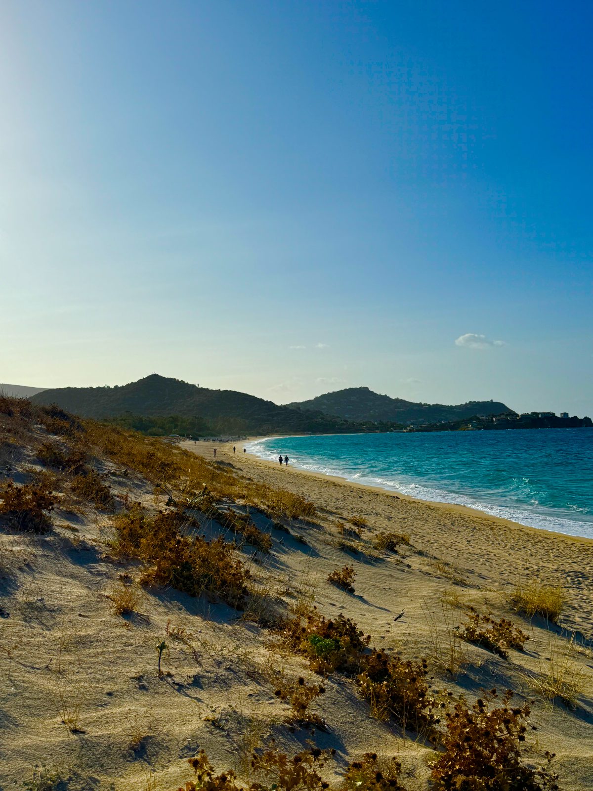 The bay from the dune ridge