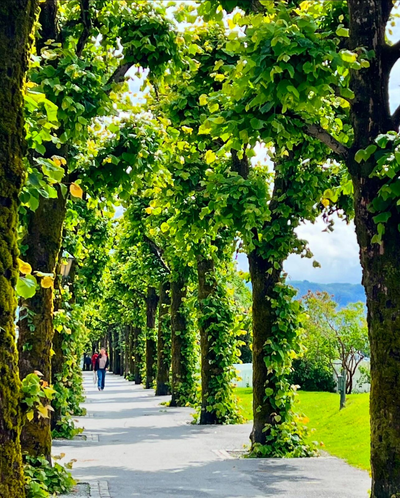 Bergen