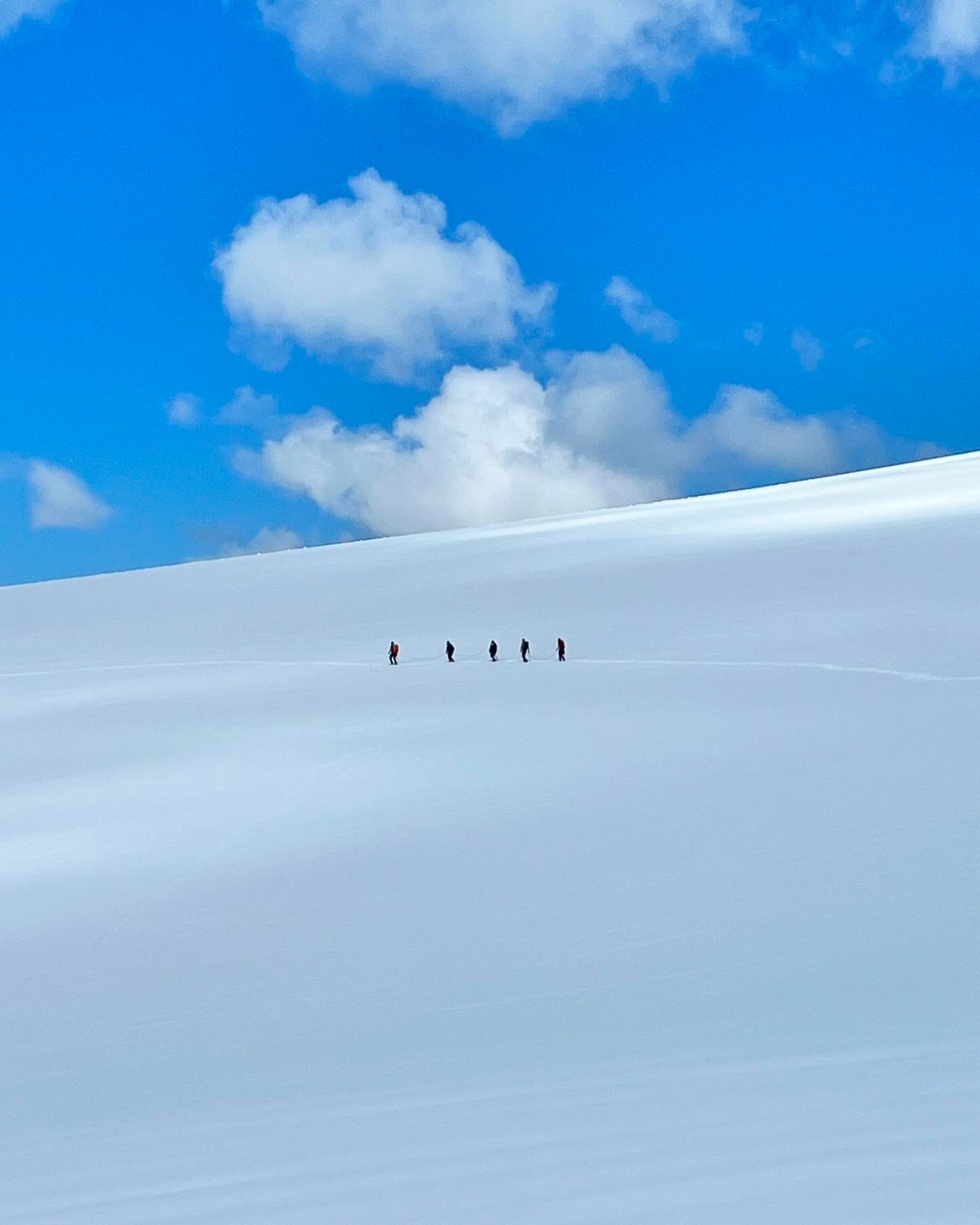 Five figures on an endless white slope