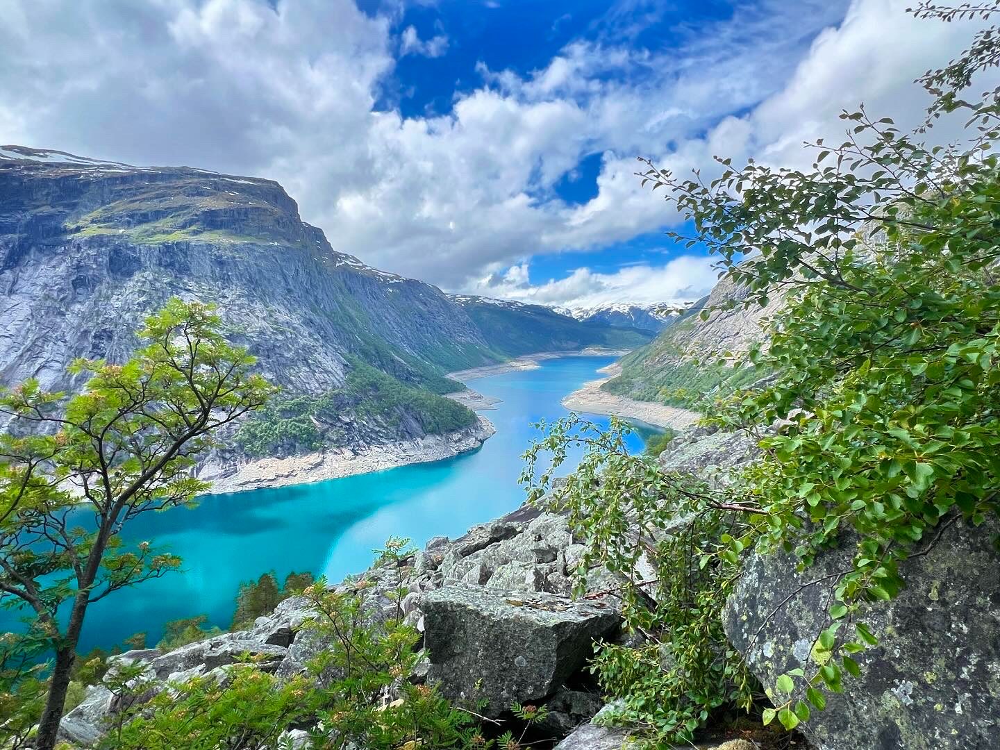 Ringedalsvatnet through the trees