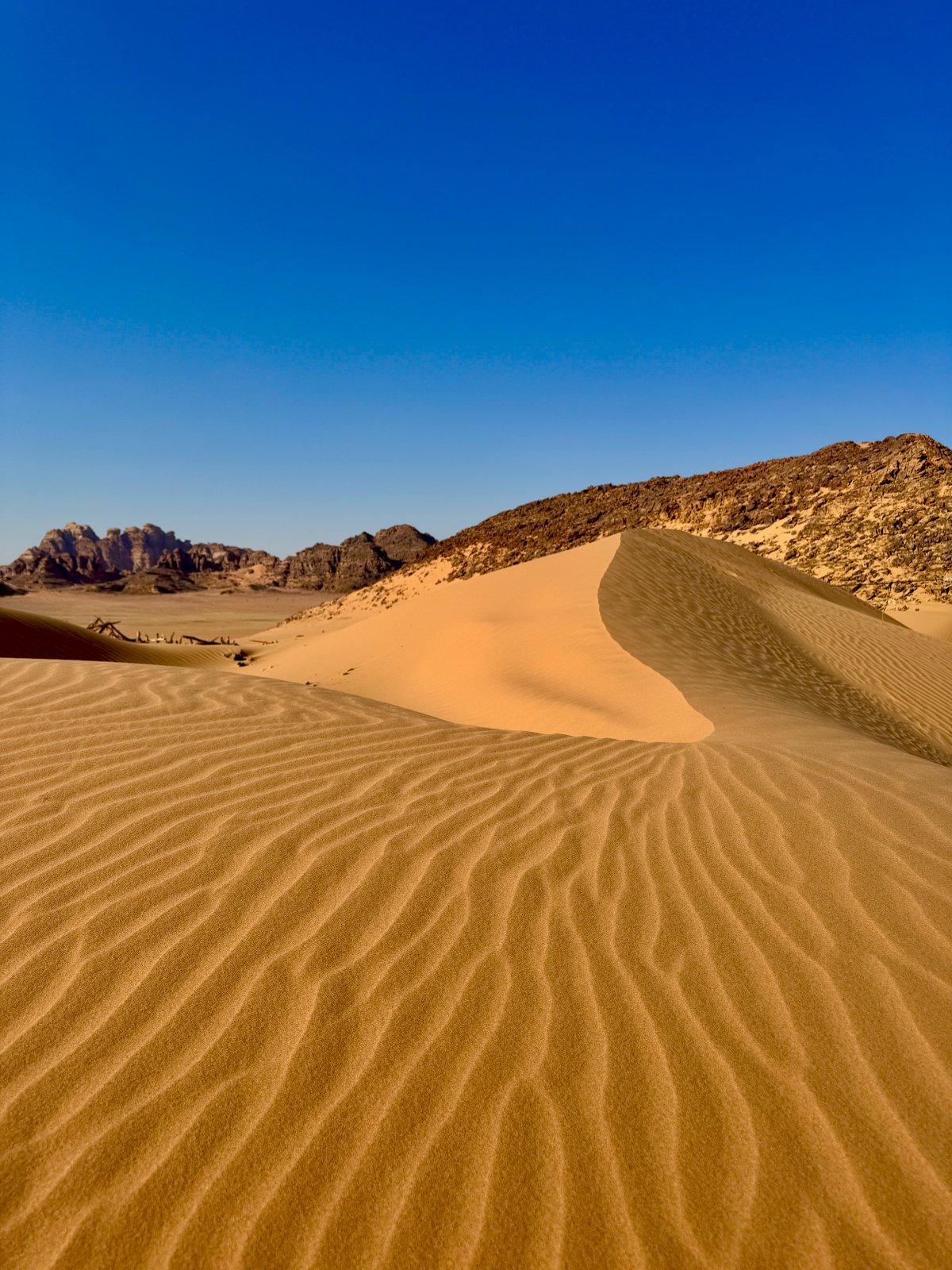 Wadi Rum dunes, camp & Aqaba yacht