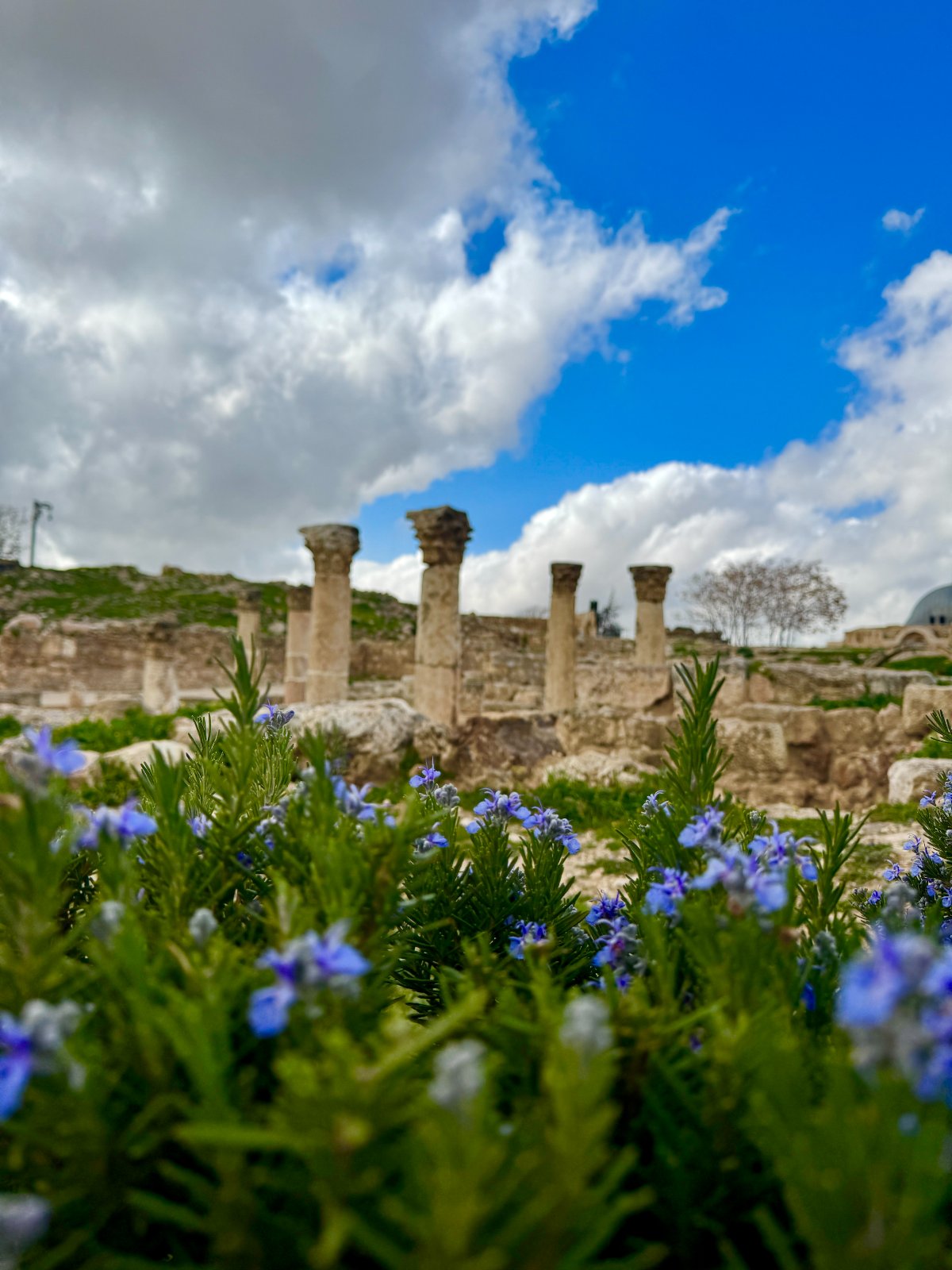 Amman streets, Citadel views & museum