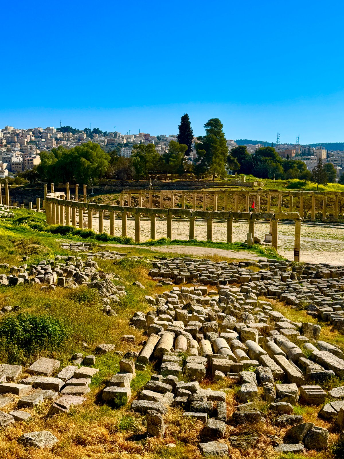 Jerash ruins & Dead Sea