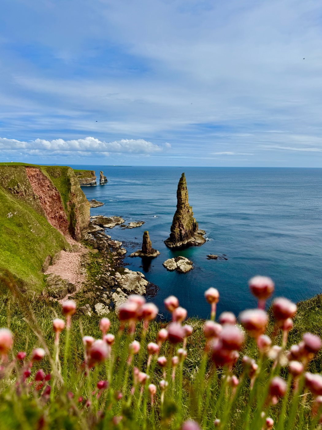 The stacks beyond the sea thrift