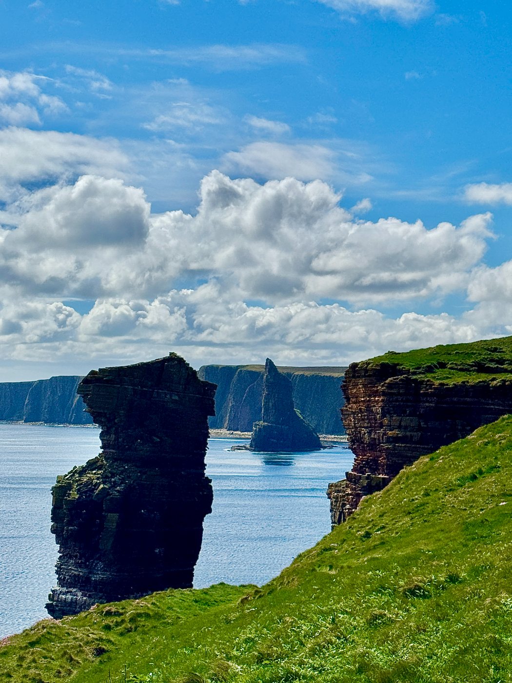 Sea stacks from the headland
